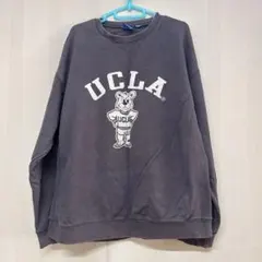 【即購入OK✨】UCLA ロゴスウェット チャコールグレー