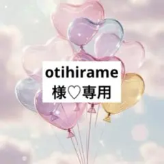 otihirame様 リクエスト 2点 まとめ商品