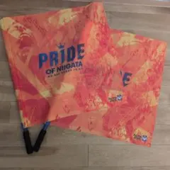 未使用　アルビレックス新潟　オリジナルフラッグ 2本セット