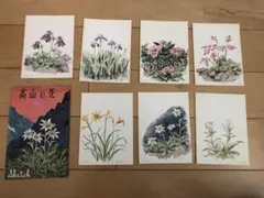 Item thumbnail for item 32d970f1-6a6b-4997-909d-bdd0f645efce