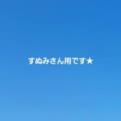 すぬみ様 リクエスト 2点 まとめ商品