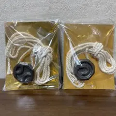 Item thumbnail for item 3d99bfee-a2b6-4e61-b4b5-4195ec44d23c