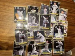 Item thumbnail for item fe748df3-90f3-44a9-a19f-636b4e59b673