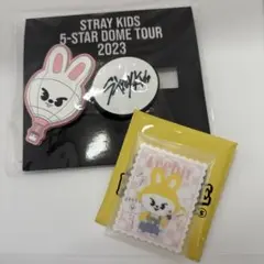 【匿名配送】SKZOO POPUP アクリルステッカー　リービット