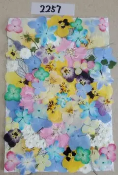 mammy tantan☆様 リクエスト 2点 まとめ商品