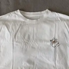 ジャンハオ zeroni ハニニ Tシャツ zb1 and2ble