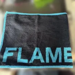 Item thumbnail for item 55b776f5-fcaa-4159-a158-a562e06a2eb6