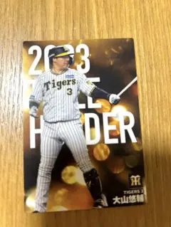 Item thumbnail for item 6db1481e-c162-44d5-9cac-ea466f585fba