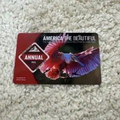 アメリカ国立公園年間パス AMERICA THE BEAUTIFUL PASS アメリカ国立公園年間パス 購入方法 ルールと使い方 節約お得に