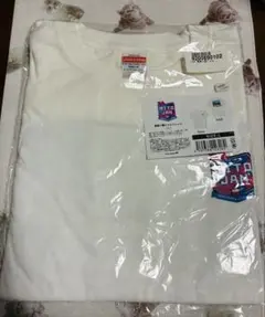 イチゴ 芸人 Tシャツ OWARAI NYLON - メルカリ