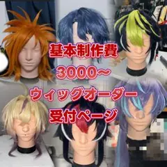 コスプレ ウィッグオーダー 受付ページ - メルカリ