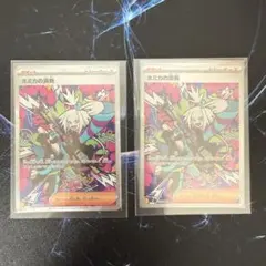 【美品】ホミカの演奏 SAR ②枚セット 119/083