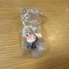 ハイキュー!! ガチャガチャ めじるしアクセサリー 日向