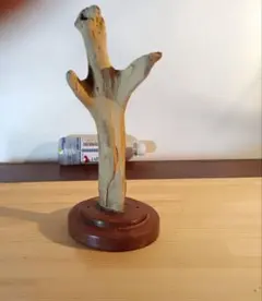 Item thumbnail for item 5b584008-c8a8-40d0-8613-40fc6fdf0092