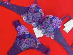 新品　サルート 43G 美女と野獣　ブラ　ショーツ　BL M セット フロントX 新品 サルート 43G 美女と野獣 ブラ ショーツ BL M セット フロントX