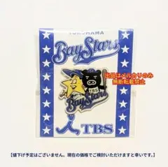 【希少レア】横浜ベイスターズ TBS ホッシー&ブーブ ピンバッチ