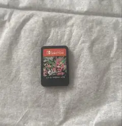 Splatoon 2 Nintendo Switch ソフト