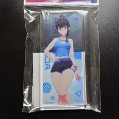 未開封品60枚＋未使用品数十枚】回転むてん丸 シャム・メルルーサ