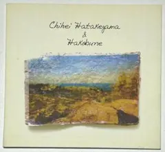 ChiheiHatakeyama Hakobune It is,it isn't