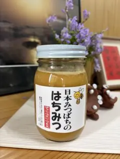 ハチミツ 日本蜜蜂花粉入り蜂蜜 谷違い巣箱違いの2種 奥山の奥 結晶化