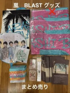 ARASHI BLAST グッズセット 新品未使用》嵐 公式グッズ ARASHI BLAST in宮城 スプーンセット 2個