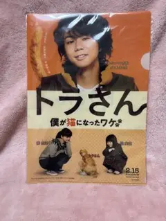北山宏光主演　トラさん 僕が猫になったワケ クリアファイル