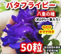 スギヤマ様 リクエスト 3点 まとめ商品