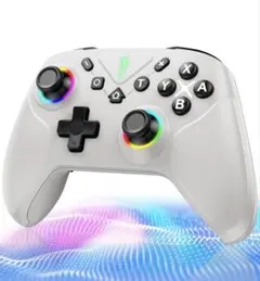 Switch コントローラー ダブルホール機能 Switch1/2対応 新品