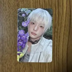 &TEAM HARUA Back to Life ソロ盤 ROAR トレカ②