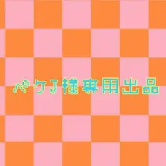 ペケJ様専用出品ページ