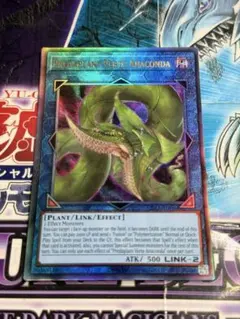 AE 遊戯王 捕食植物ヴェルテアナコンダ レリーフ 泰亜版 アジア英語版