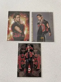 岩谷翔吾 タレントカード