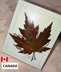 CANADA製　メープルナチュラルリーフカントリー　本場カナダの壁掛け