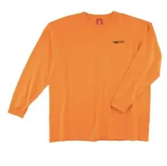 Item thumbnail for item 28efee50-fa2a-4196-9529-495a39d8c847