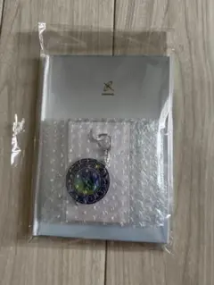 PokemonLegendsZA ARTBook キーホルダー 購入特典