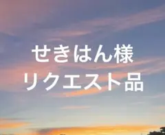 せきはん様 リクエスト 2点 まとめ商品