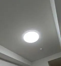 Item thumbnail for item ab5af617-9eb5-42df-a087-ea917e7c9821