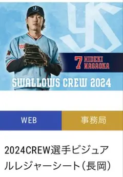 ヤクルト　長岡　レジャーシート