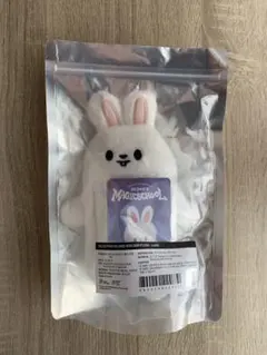 [匿名配送]スキズ Leebit フォトカードホルダー MAGIC SCHOOL