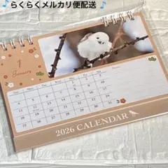 2026' シマエナガ　卓上カレンダー　文鳥　ふくろう　インコ　カレンダー