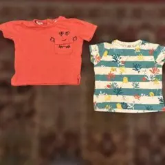 Item thumbnail for item b36289b3-a04b-4f9e-ab85-00f2be60c301