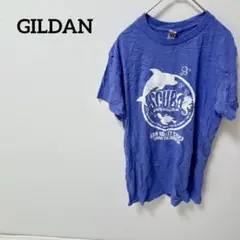 美品✨GILDAN 【フリー】　SCUBA イルカプリント Tシャツ　春服