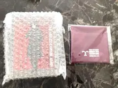 ONKYOガンダムSEEDFREEDOM　ワイヤレスイヤホン　ポーチ　アスラン