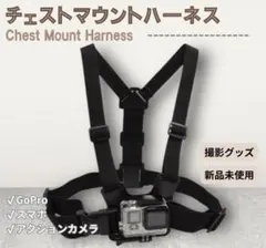 Item thumbnail for item cc1d7159-a947-435b-9a66-61a74e5f97ec