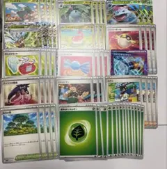 メガフシギバナex デッキ　構築済みデッキのサムネイル