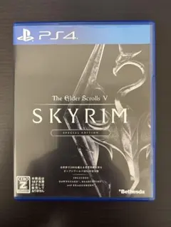 Skyrim Special Edition スカイリム ps4
