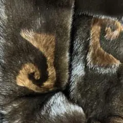 Item thumbnail for item a582dc59-5e0f-404d-a052-42e3b143ab49