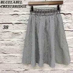 ブルーレーベルクレストブリッジ✩38 ストライプ柄膝丈フレアスカート 白×グレー