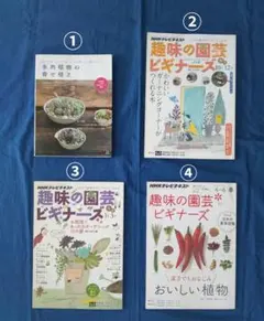 多肉植物の寄せ植え（松山美紗 著）&NHK 趣味の園芸（3冊）合計4冊セット