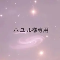 ハユル様専用出品